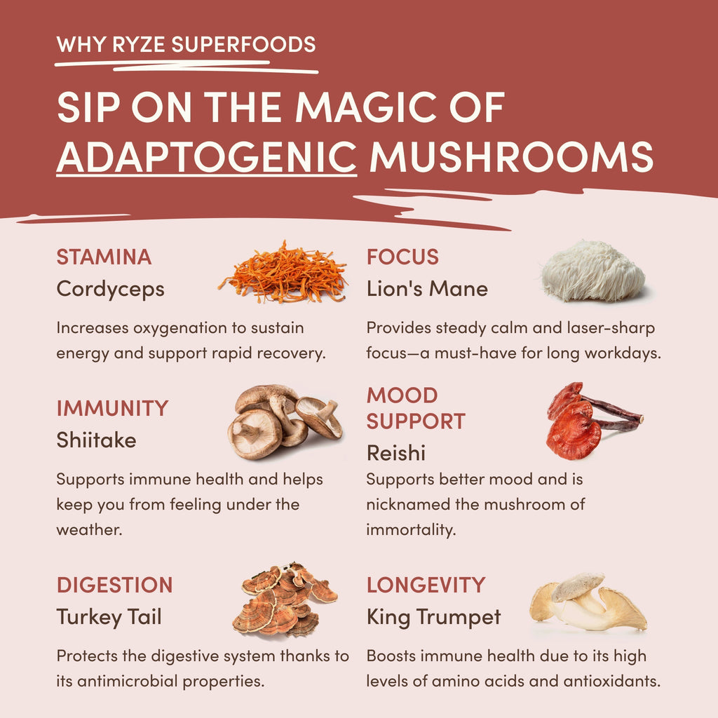 RYZE Mushroom Chicory — Organic Instant Chicory with Shitake & Lions mane, 30 Servings
